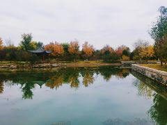 -张家湾公园