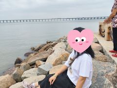 -宝安西湾红树林湿地公园