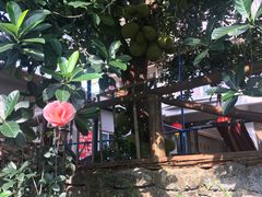 -七七家的糖水店(南湾街1号店)