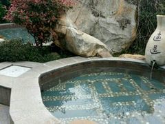 -金孔雀温泉旅游度假村