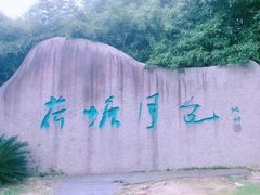-荷塘月色湿地公园·向阳花洲