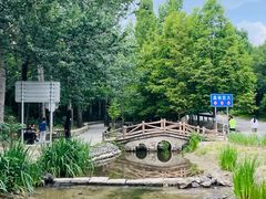 -白水寺森林公园