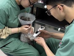 -派美特宠物医院·核磁CT·骨科肿瘤·疑难转诊(沈农禾丰店)