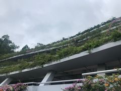 -深圳仙湖植物园-停车场