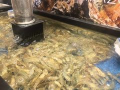 -亚马逊海鲜自助(梅溪湖步步高店)