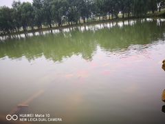 -泰安地下龙宫景区