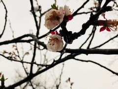 -十三陵山水雅园农家院