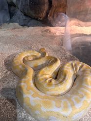 -Zoolung Zoolung动物主题公园(海信广场店)