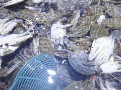 -聚盛源蒸汽海鲜火锅烤肉自助(巨川金海岸购物广场店)