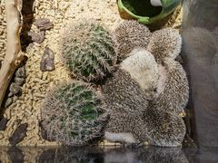 -绿色星球动物主题公园
