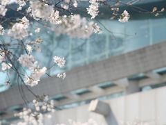 -鸡鸣寺