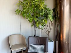 -三利音·浦之舟(滨江大道店)