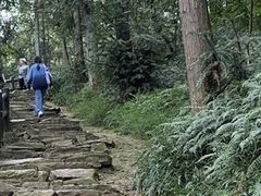 -冶父山国家森林公园