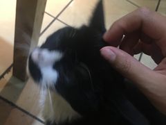-痴串串(慈惠堂街店)