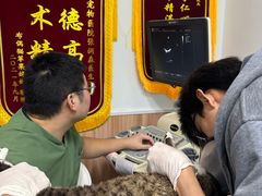 -瑞鹏宠物医院·内科·中兽医·骨科(苗圃店)