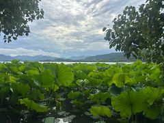 -湖畔居茶楼(湖滨店)