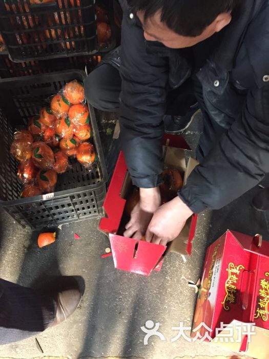 海田水果批发市场-图片-宁波购物-大众点评网