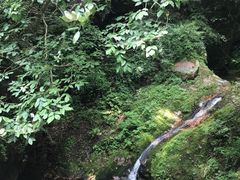 -牛背梁国家森林公园