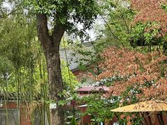 -望江楼公园