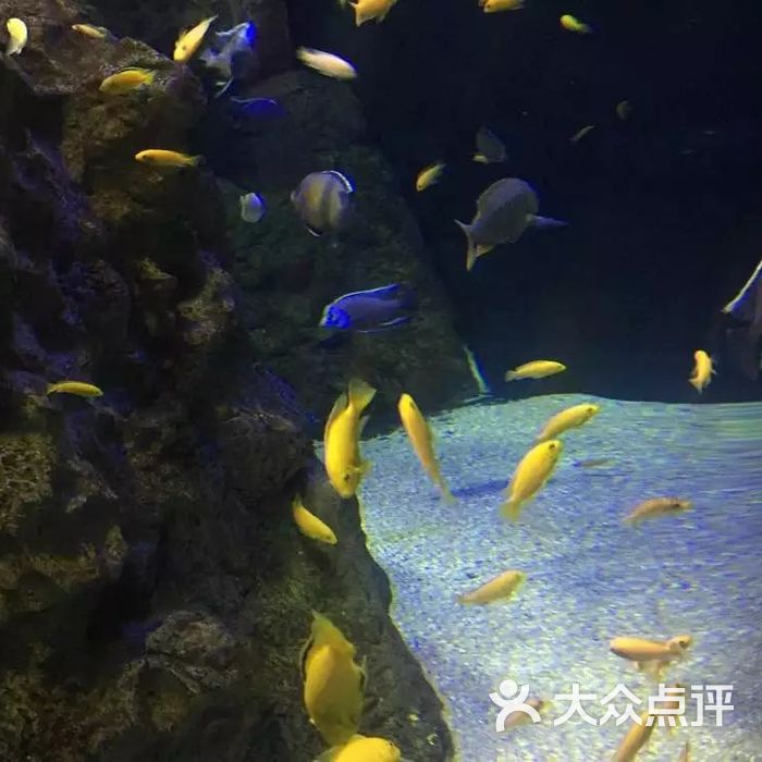 海濱城浩海立方海洋館