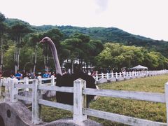 -瑞穗牧场