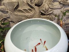 -万柳阁小馆·花园餐厅(龙潭湖店)