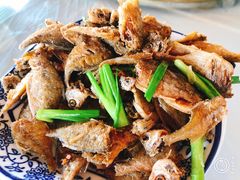 -洞天食府(北大街店)
