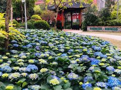 -岭南和园