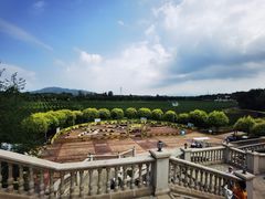 -北京张裕爱斐堡酒庄