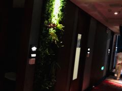 -康道天地(九六广场店)