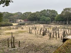 -河姆渡遗址博物馆