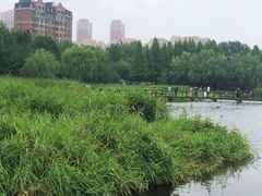 -前关湿地公园