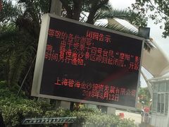 -碧海金沙