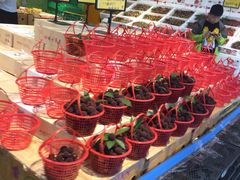 -鲜力达果品批发直销(青山店)