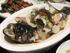 青花椒蒸龙胆鱼-闽和南(深圳万象城店)