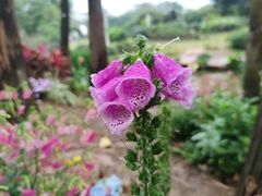 -人民公园(罗湖区)