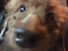 -嘉善路(地铁站)