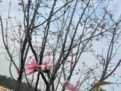 -小南山公园