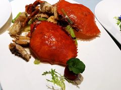 -沪碟·精菜坊(闵行店)
