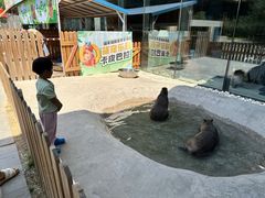-廊坊固安福朋喜来登酒店