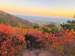 -北京十三陵国家森林公园蟒山景区