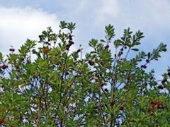 -宝岩生态观光园