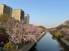 -元大都城垣遗址公园