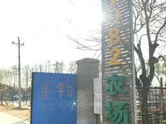 -1982农场