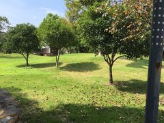 -上海多利农业发展有限公司