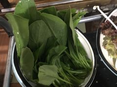 -洪氏嗨捞·广东猪肚鸡·椰子鸡火锅(西咸万象城店)