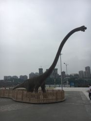 -恐龙探索乐园(磁器口店)