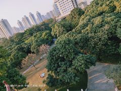 -荔枝公园(福田区)