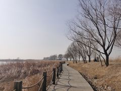 -野鸭湖国家湿地公园