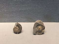 -湖南省地质博物馆